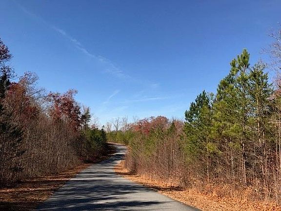 4th image of 12 Mountain Creek Trl