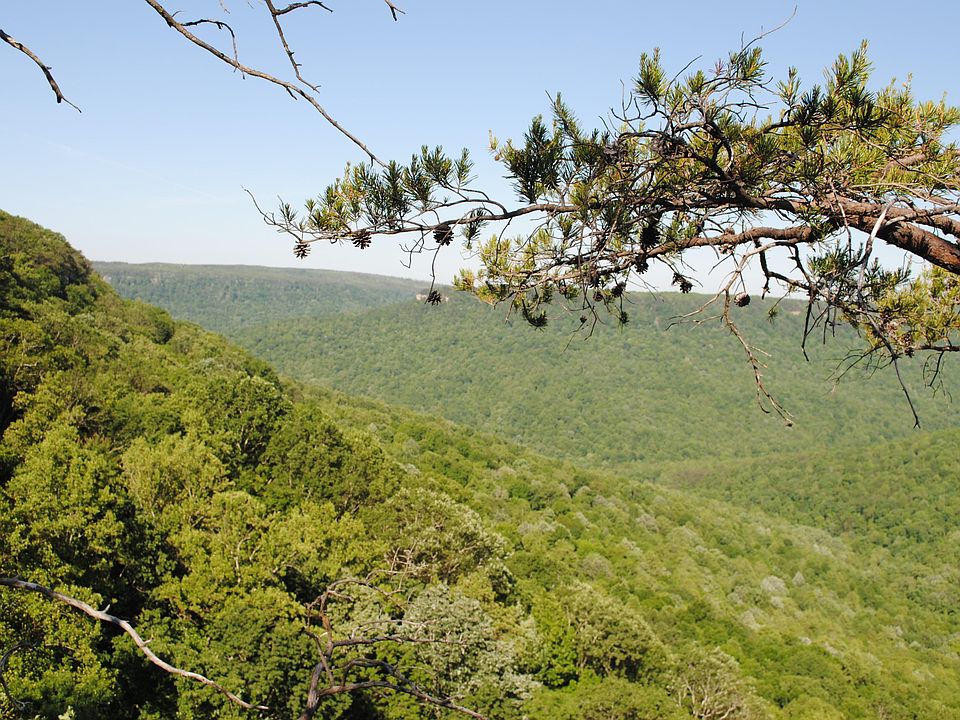 0 Pocket Rd, Whitwell, TN 37397 MLS 1354424 Zillow