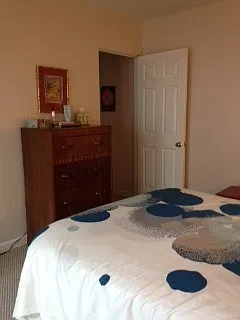 503 E Amelia St — Photo 11