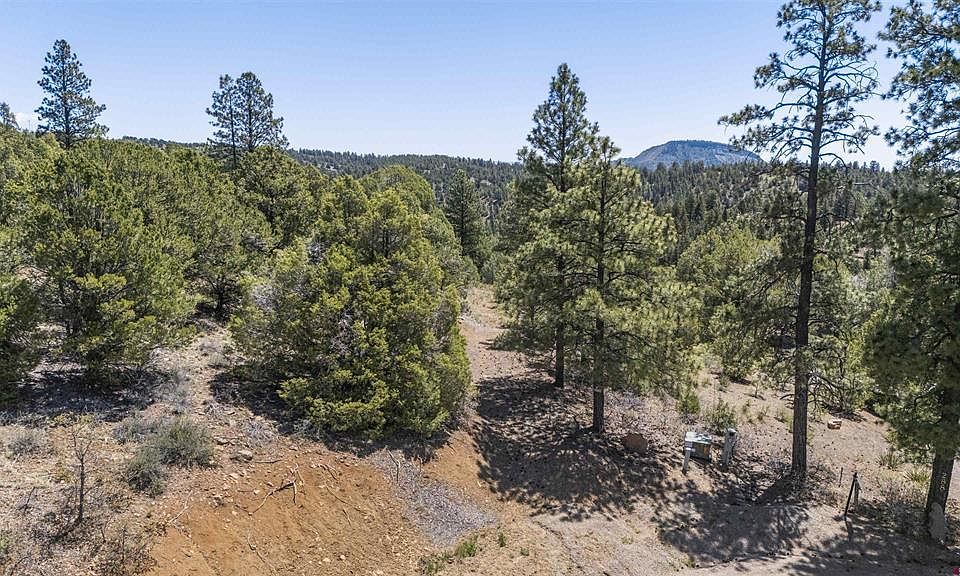 1st image of 275 Logging Trail Road