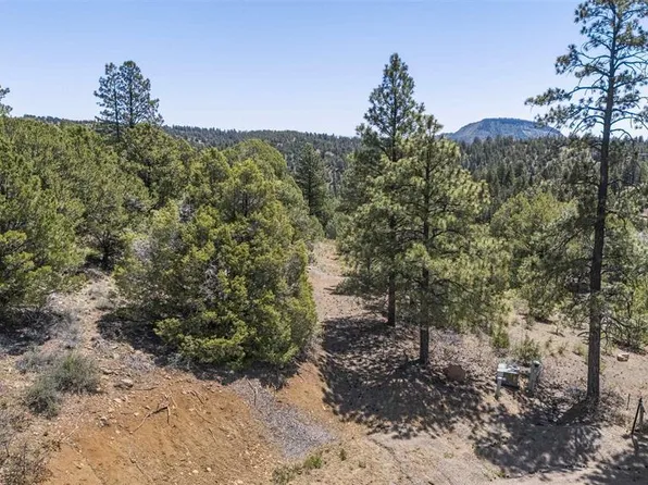 275 Logging Trail Road, Durango, CO 81303