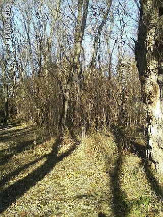 2nd image of LOT 3 & 25 Clausen Dr