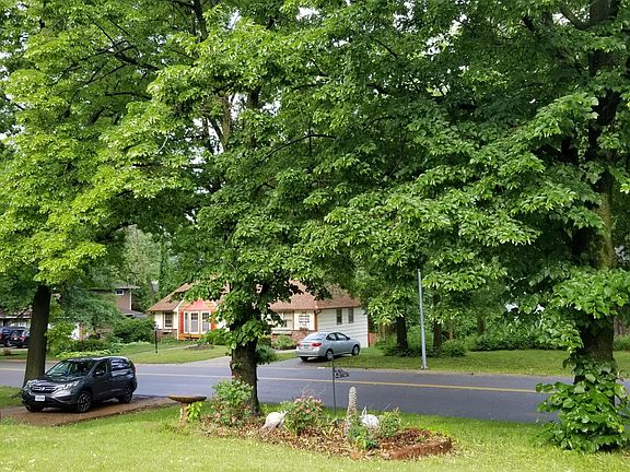 Nice Size Yard