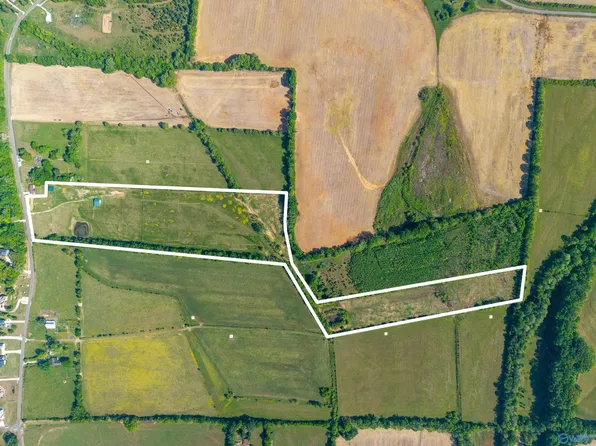 30/ACRE S Hurricane Rd, New Market, AL 35761