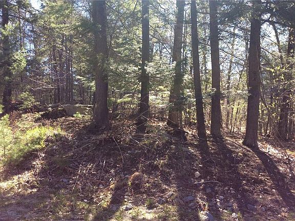 3rd image of 41-1 Knights Hill & Tanner Way Road