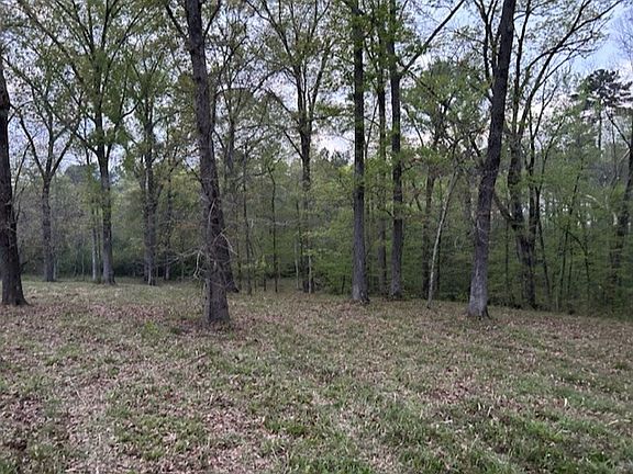 4th image of Woodland Oak Dr