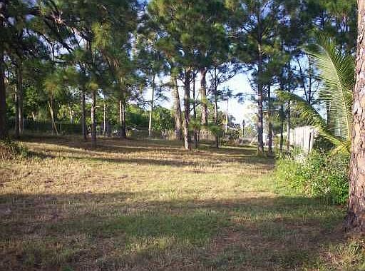 2nd image of 6542 High Ridge Rd