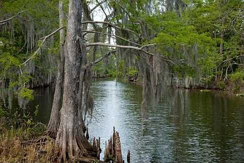 3rd image of 2807 Boating Blvd