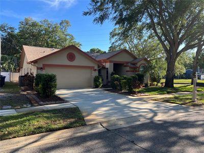 5836 Coffee Bean Dr, Clearwater, FL, 33760