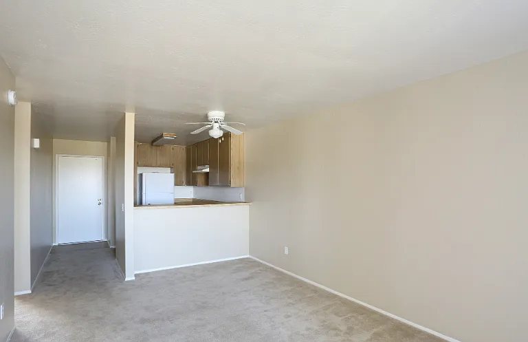 Sunset Terrace — Photo 9