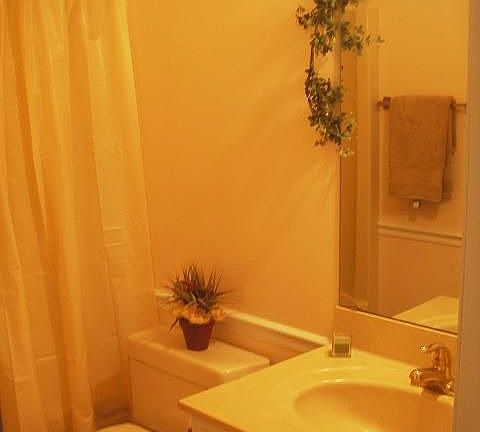 Downstairs Full Bath