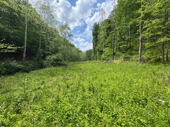 0 Rush Run Steer Ck Rd, Normantown, WV 25267