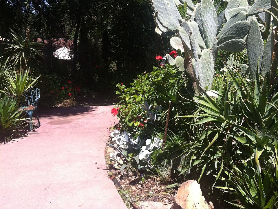2nd image of 941 Roble Ridge Rd