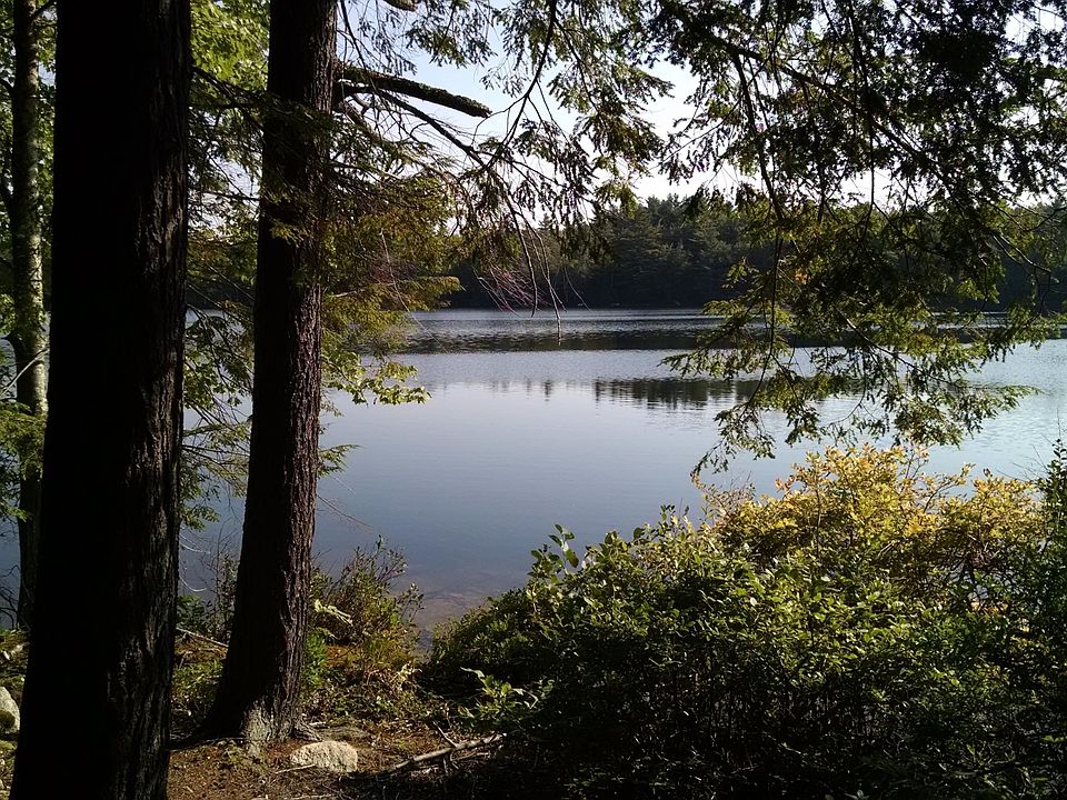 1st image of 146 Evergreen Dr