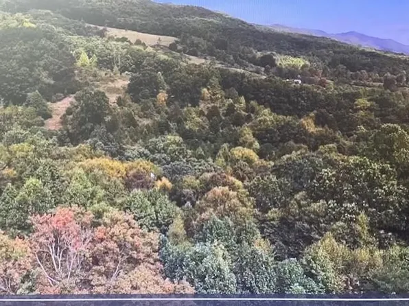 Little Tumbling Creek Rd, Tannersville, VA 24377