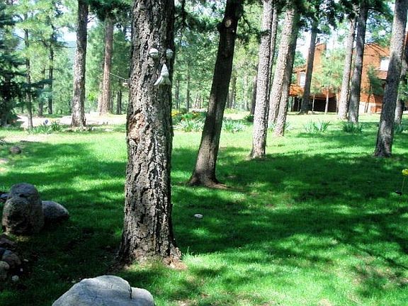 5th image of 152 Crooked Stick Ln