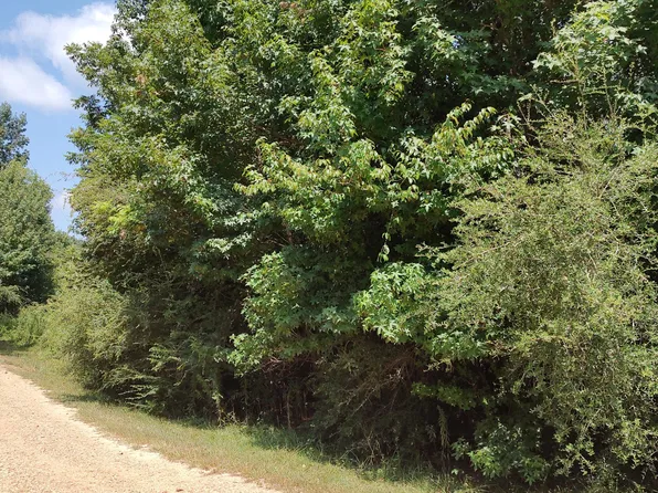 Nhn Worth Nall Rd, Lumberton, MS 39455