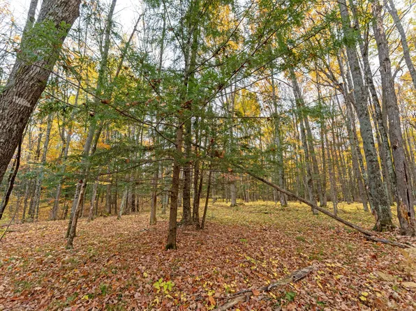 LOT 128 White Birch Ln, Minocqua, WI 54548