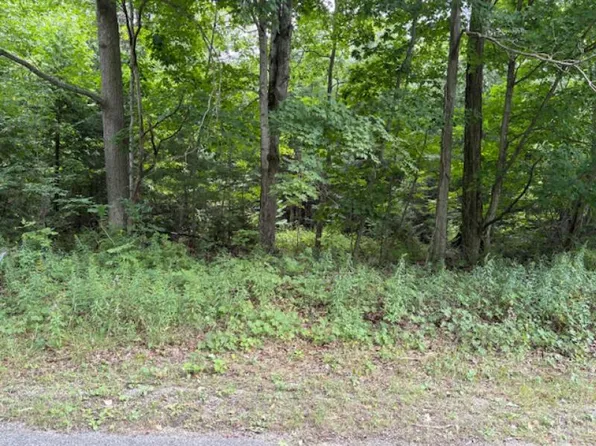 S Sunset Dr, Greenbush, MI 48738