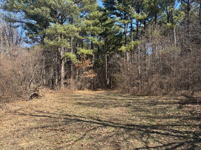 0 County Road 1020 N, Fairfield, IL, 62837