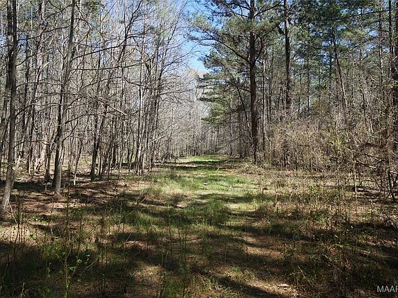 4th image of 831 Old Barnes Rd