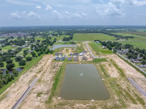 Carter Plan, The Pines