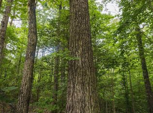 County Road 51, Greensboro, AL 36744