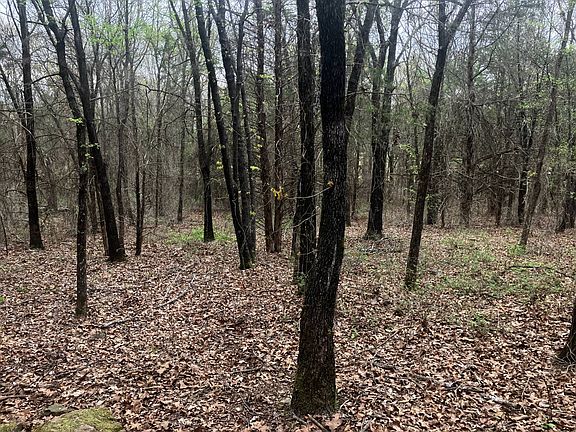 2nd image of Alicia Ln