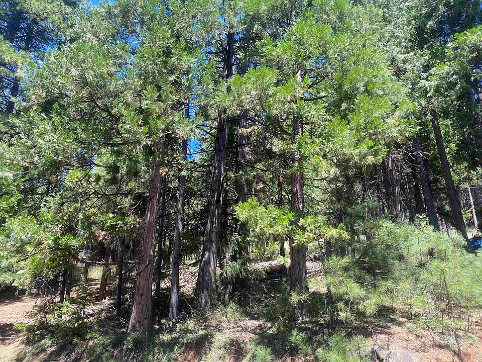 2nd image of 7064 Highway 147