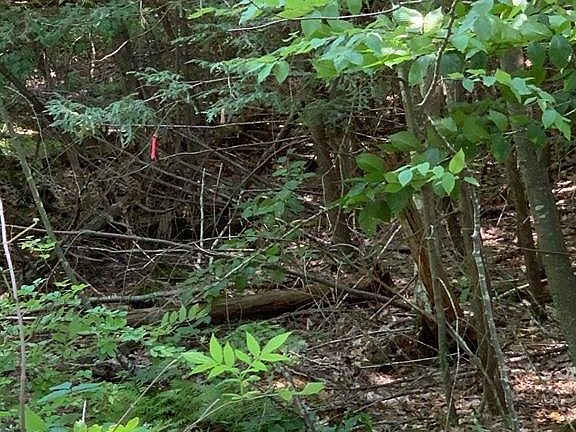 5th image of 0 Rocky Hill Rd