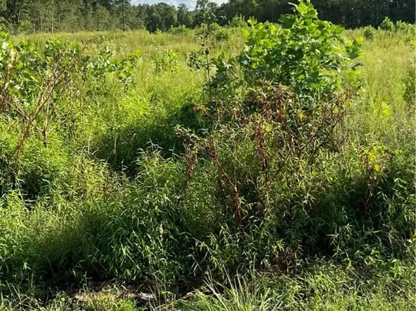 Oakdale Rd, Waverly, VA 23890