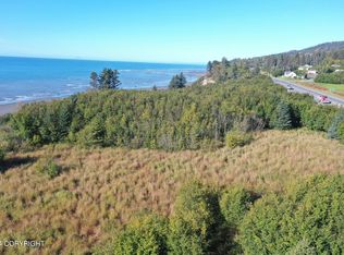 1129 Sterling Hwy, Homer, AK 99603