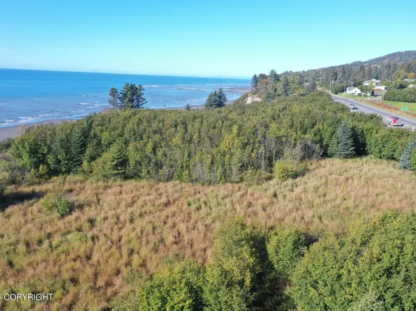 1129 Sterling Hwy, Homer, AK 99603