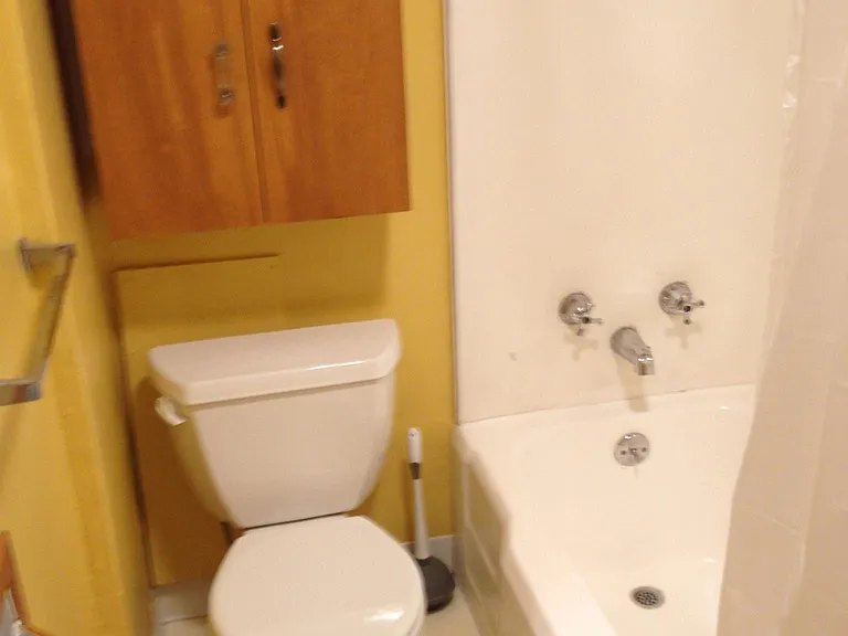 Bathroom with bathtub, shower and toilet