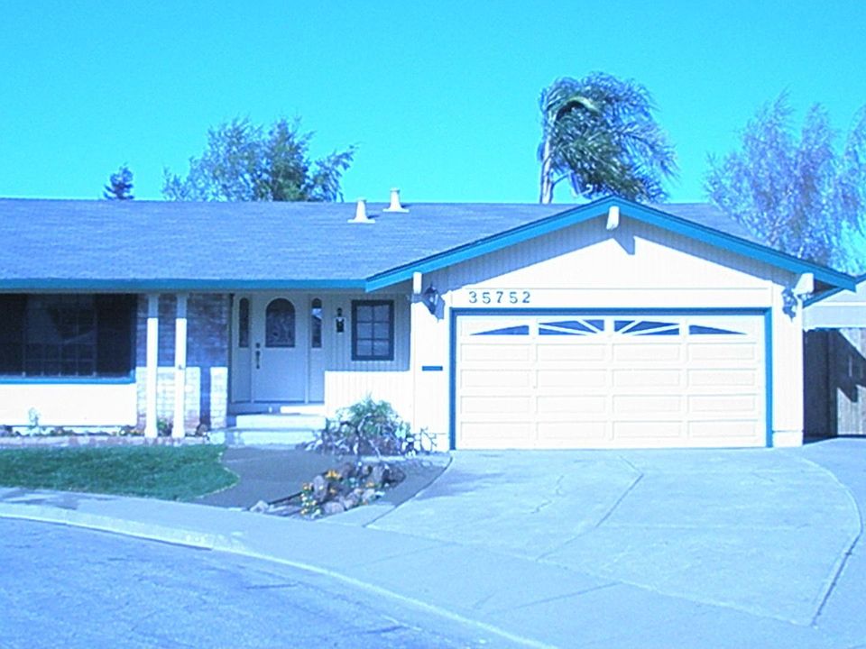 Great Brookvale Home