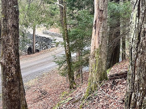 3rd image of 0 Parish Rd