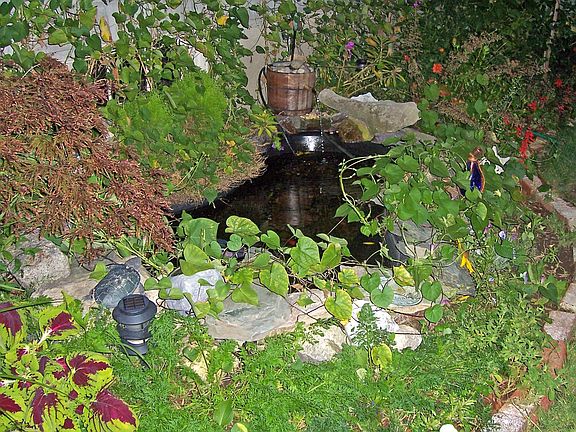 Fishpond