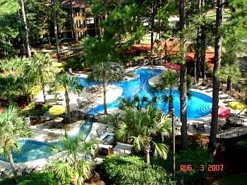 Resort Lagoon Style Pool
