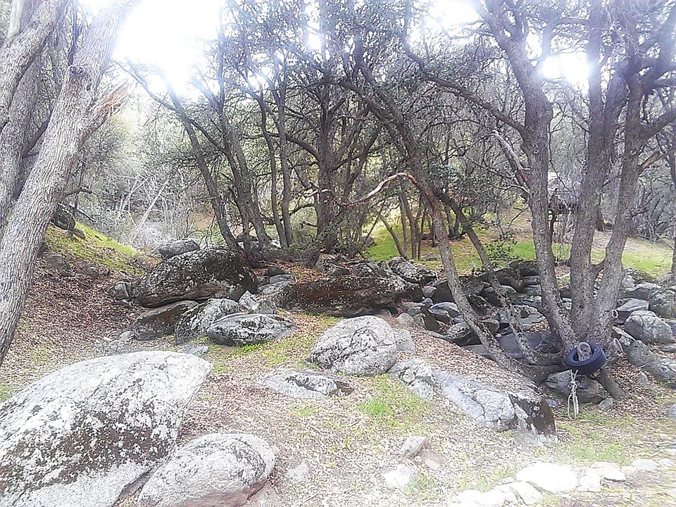 2nd image of 17 Old Ox Rd