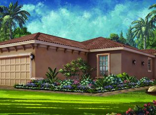 20009 Callisto Hill Pl, Tampa, FL 33647