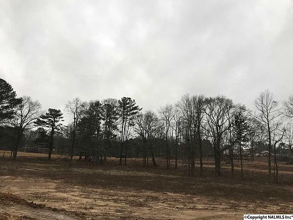 2nd image of Alabama Highway 205