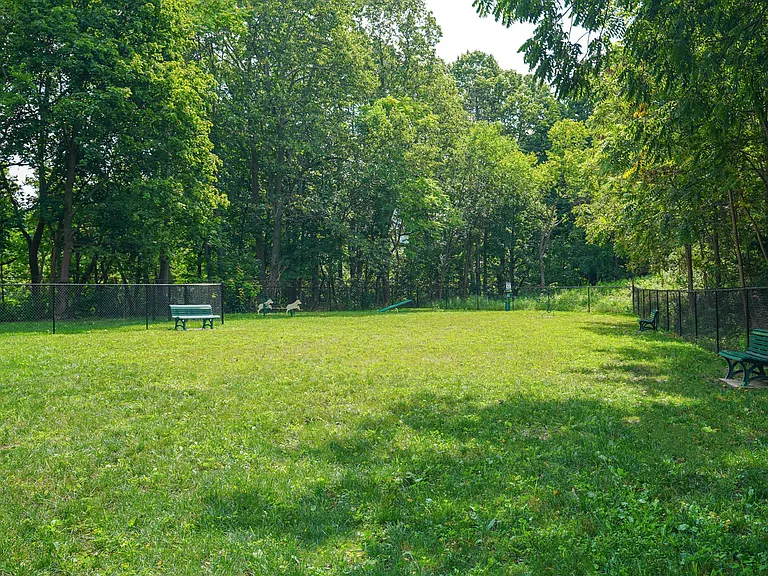 Dog Park