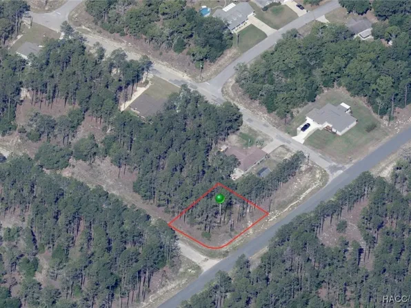 11001 N Letterwood Way, Citrus Springs, FL 34434