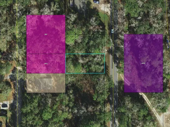 Xxx Franklin Dr, Crawfordville, FL 32327