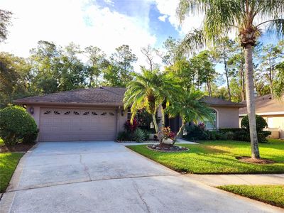 2404 Saddlewood Ln, Palm Harbor, FL, 34685