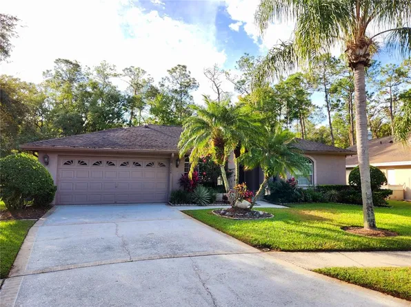 2404 Saddlewood Ln, Palm Harbor, FL 34685