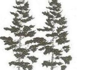 28 Pickford Rd, Kimball, MI 48074