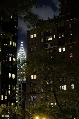 Rented by Citi Habitats | media 23