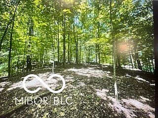 3rd image of 2819 Fox Ct E