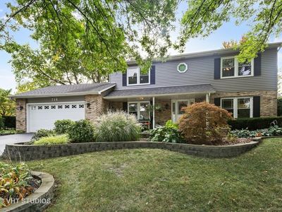 716 Muirhead Ct, Naperville, IL, 60565